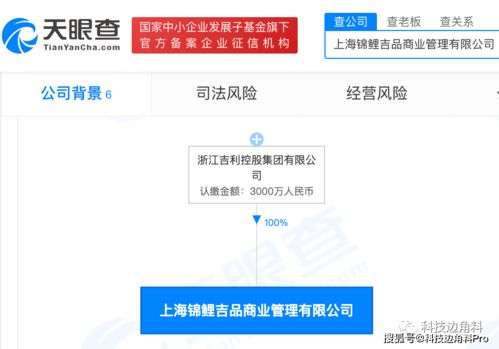 吉利控股拓展業務版圖 錦鯉吉品管理公司成立，聚焦互聯網銷售新機遇
